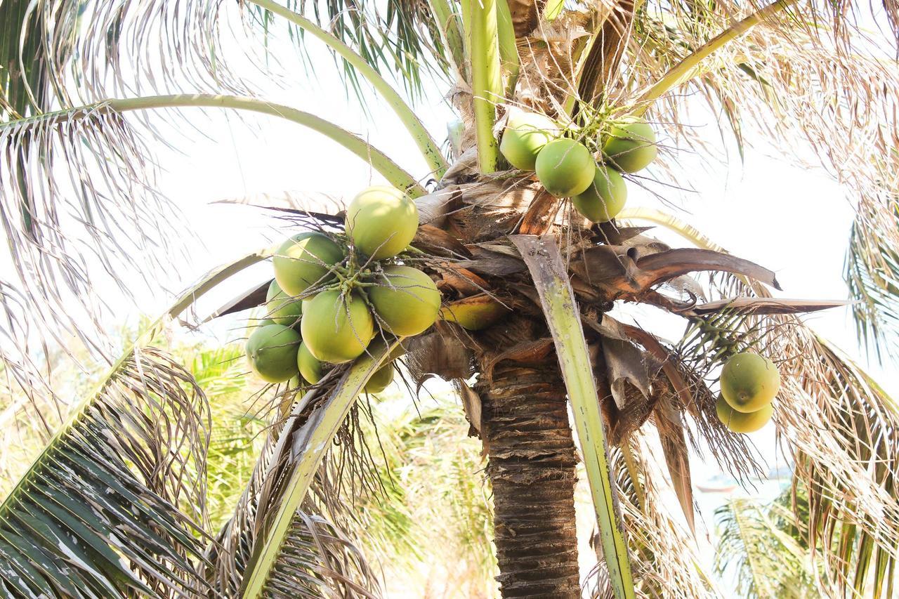 Eagles Beach Resort Phan Thiết Ngoại thất bức ảnh